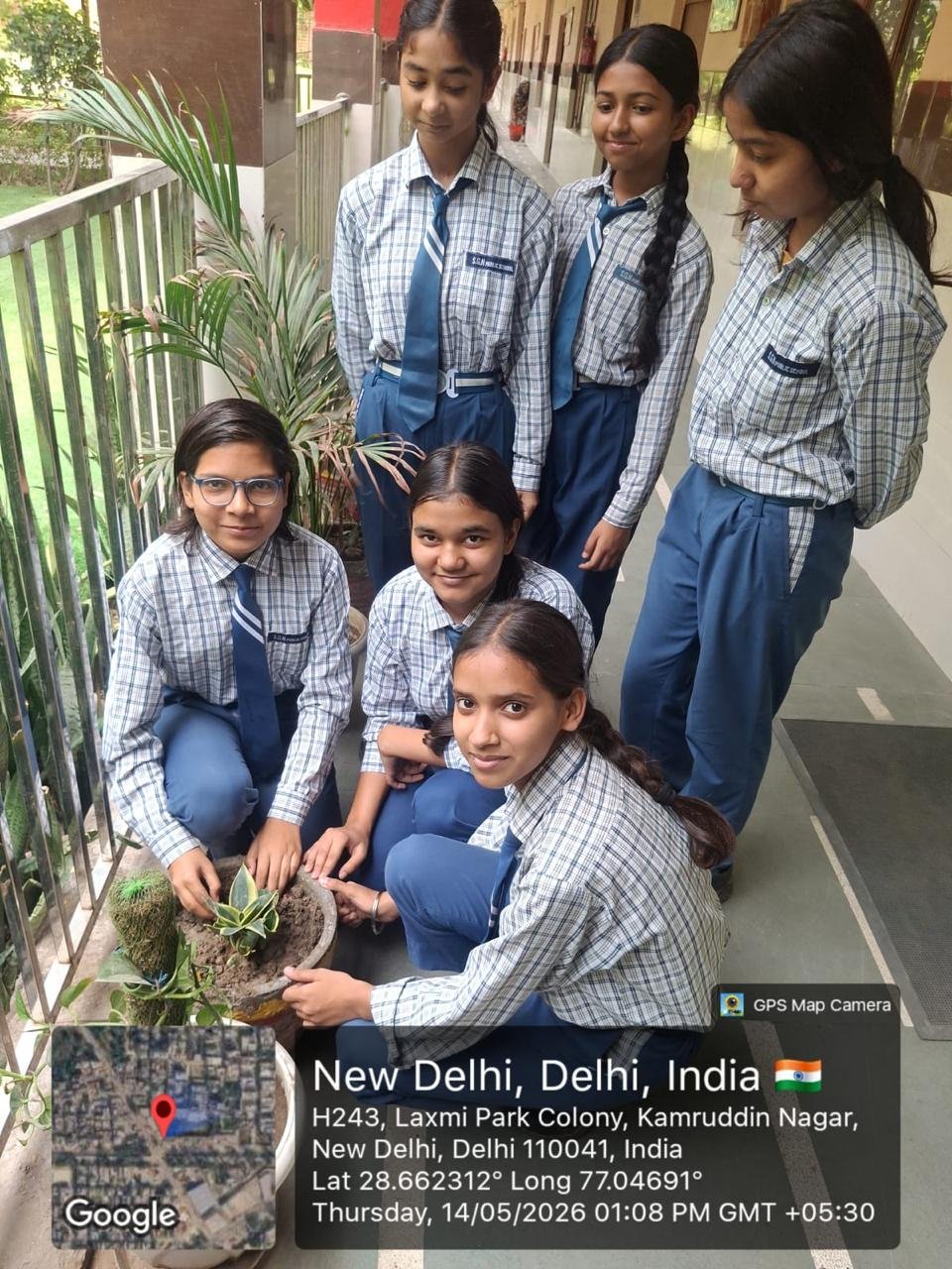 Tree Plantation